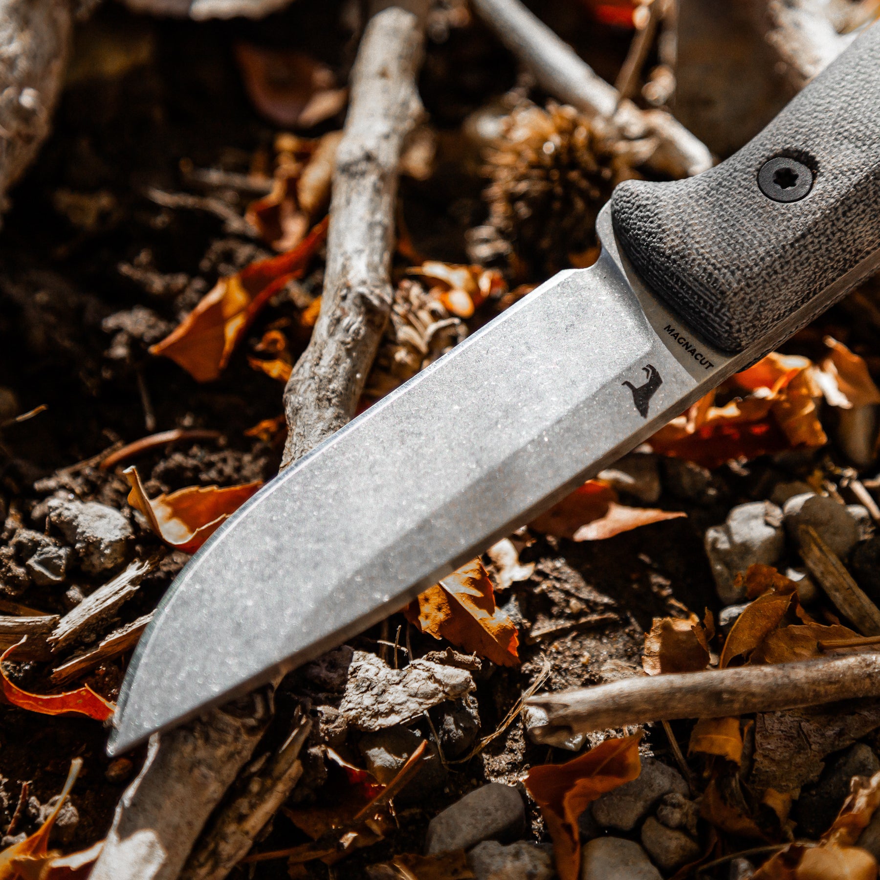 Best Knives for Bushcraft: How To Choose a Survival Knife
